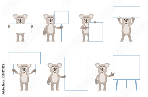 Set of cartoon koala characters posing with different blank banners. Cheerful koala holding poster, paper, placard, pointing to whiteboard. Teach, advertise, promote.  Flat vector illustration