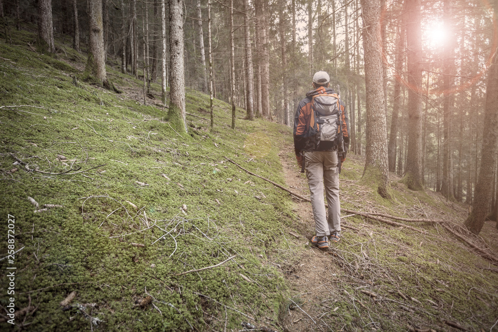 Obraz premium A trekker walking solo among the forest in a cloudy day
