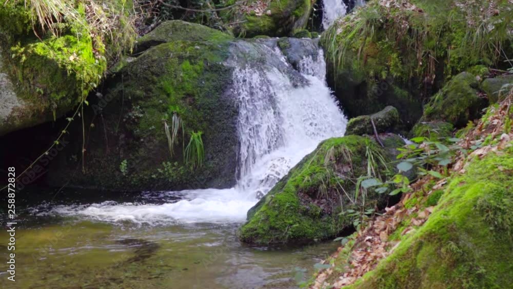 amazing peaceful mountain cascade, fresh pure water flows over large green mossy stones in Slow motion amazing peaceful mountain cascade, fresh pure water flows over large green mossy stones in Slow motion