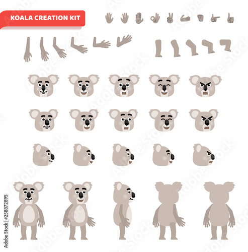 Cartoon koala bear creation set. Various gestures, emotions, diverse poses, views. Create your own pose, animation. Flat style vector illustration