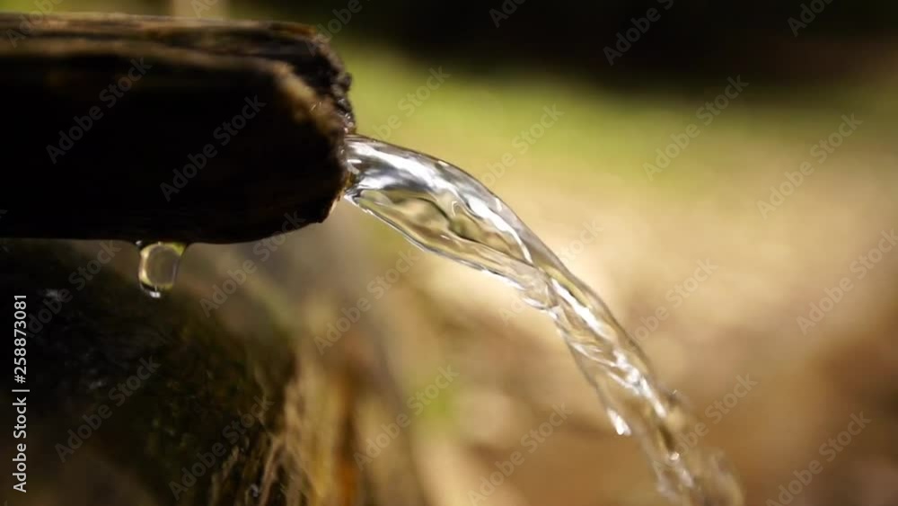 Fountain and watering place, slow-motion and close-up Fountain and watering place, slow-motion and close-up