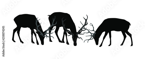 Deer family grassing vector silhouette isolated on white background. Reindeer couple with fawn. Proud Noble Deer male in forest zoo. Powerful buck with huge antlers standing. Animal collection of deer