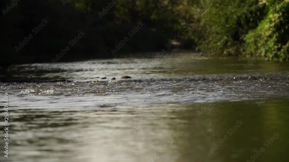 River, slow-motion River, slow-motion