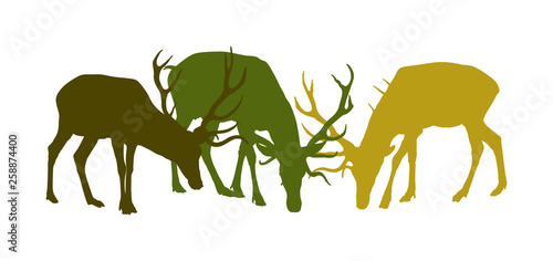 Deer family grassing vector silhouette isolated on white background. Reindeer couple with fawn. Proud Noble Deer male in forest zoo. Powerful buck with huge antlers standing. Animal collection of deer