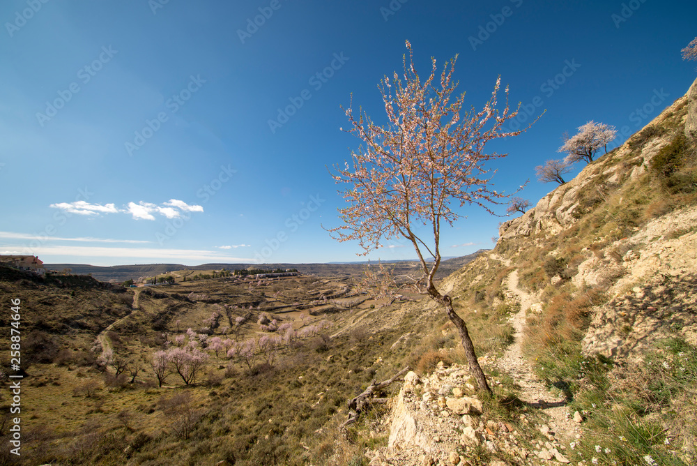 Path through the mountain next to the town of Morella Path through the mountain next to the town of Morella
