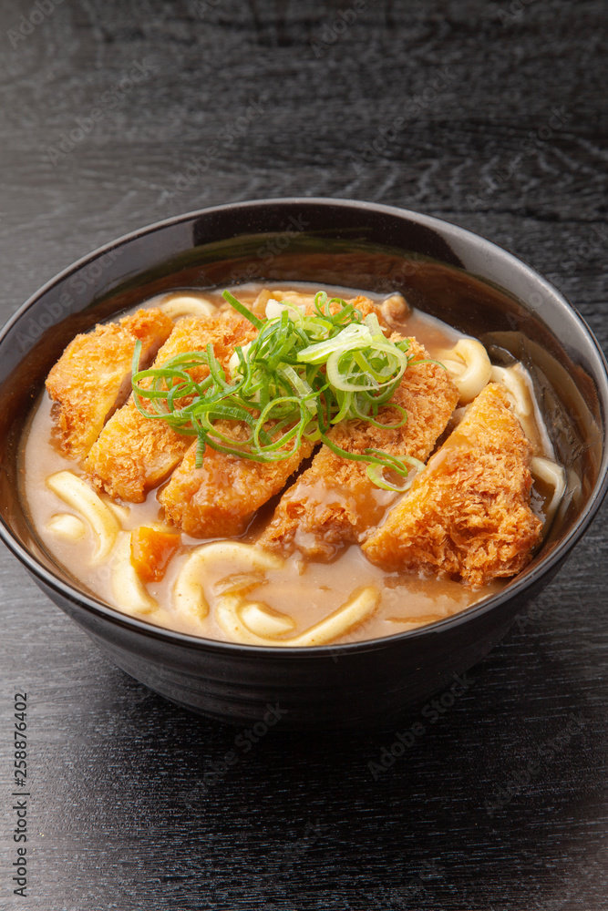 かつカレーうどん かつカレーうどん
