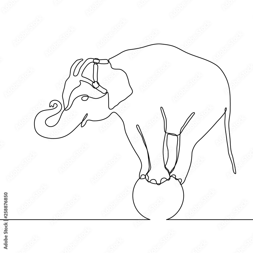 Elephant standing on a ball, continuous one line drawing, circus trick.  Black and white sketch vector illustration. Stock Vector | Adobe Stock