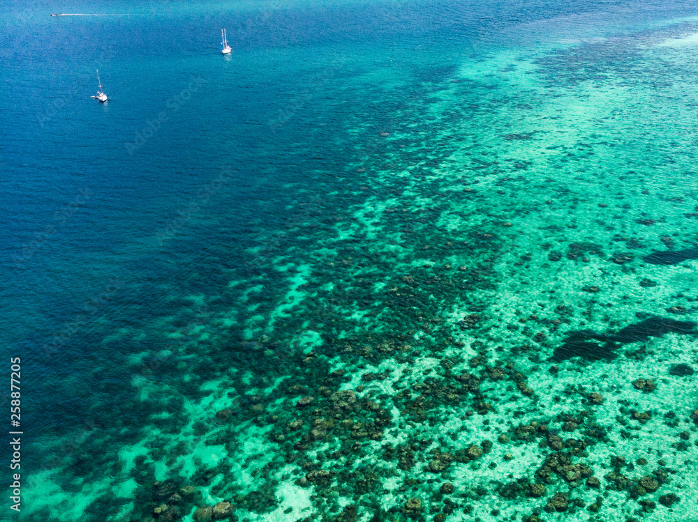 Tropical emerald sea with coral reef in andaman island