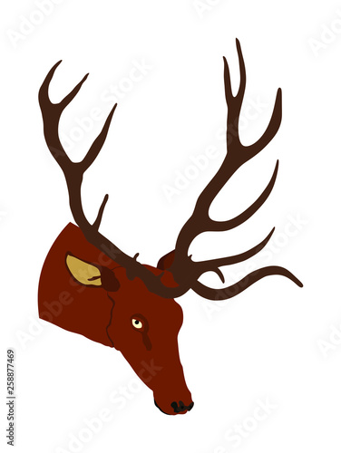 Deer head with antlers vector illustration isolated on white background. Reindeer, proud Noble Deer male trophy. Powerful buck, red deer. Hunter hunting  wild animal, symbol of male power.
