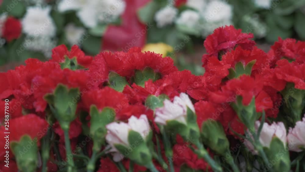 Rain is falling on the flowers. Victory Memorial to Soviet Army in Russia. Day, rain, may. Eternal flame. Rain is falling on the flowers. Victory Memorial to Soviet Army in Russia. Day, rain, may. Eternal flame.