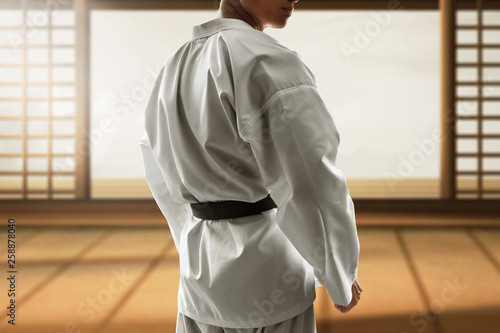 Konstfotografi Martial arts fighter