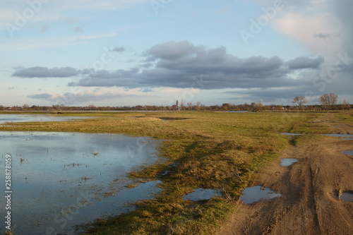Wallpaper Mural Park Narodowy Ujście Warty Torontodigital.ca