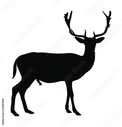 Deer vector silhouette illustration isolated on white background. Reindeer, proud Noble Deer male in forest or zoo. Powerful buck with huge neck and antlers standing. Red deer. 