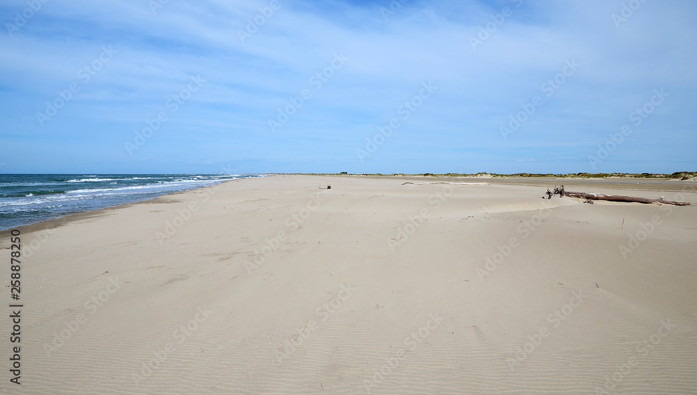 Endless desert beach with bleu sky and sunny weather, Camargue, France