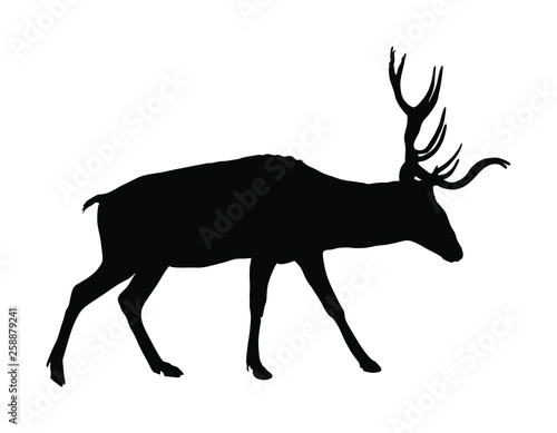 Deer vector silhouette illustration isolated on white background. Reindeer, proud Noble Deer male in forest or zoo. Powerful buck with huge neck and antlers standing. Red deer.
