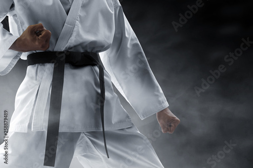 Martial arts fighter photo