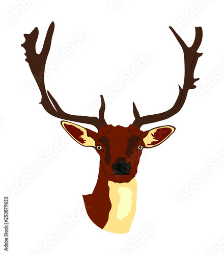 Deer head with antlers vector illustration isolated on white background. Reindeer, proud Noble Deer male trophy. Powerful buck, red deer. Hunter hunting  wild animal, symbol of male power.
