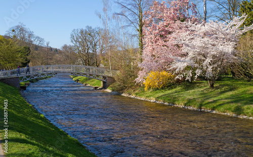 Blütenpracht an der Oos in Baden-Baden photo