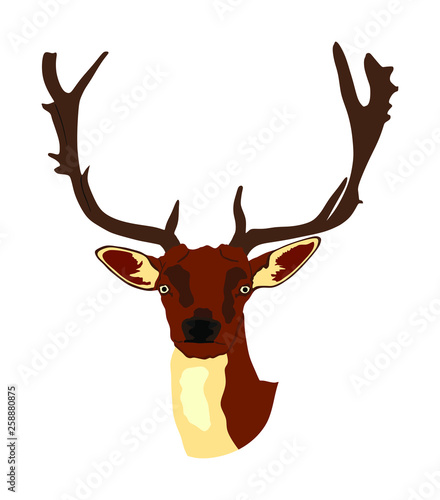 Deer head with antlers vector illustration isolated on white background. Reindeer, proud Noble Deer male trophy. Powerful buck, red deer. Hunter hunting  wild animal, symbol of male power.