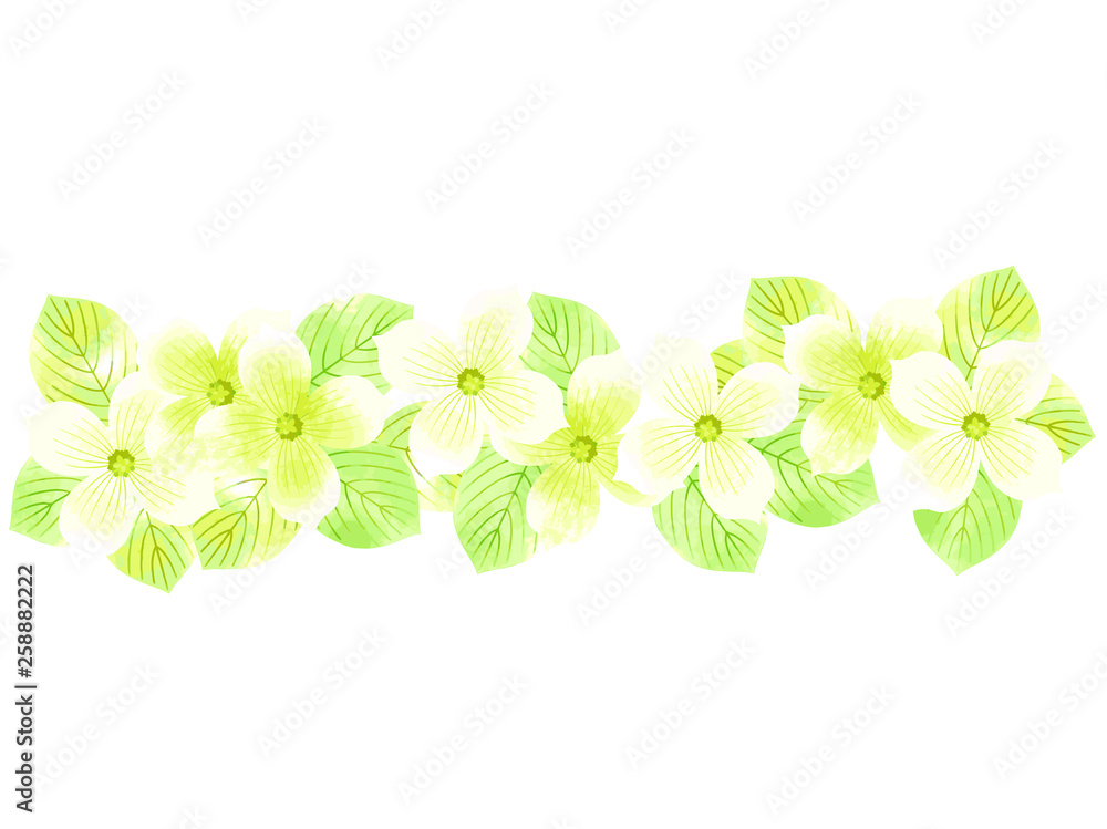 ハナミズキの背景イラスト 水彩風 Stock Vector Adobe Stock