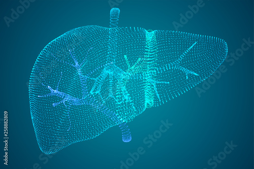 Vector abstract background of dots and glows. human liver.