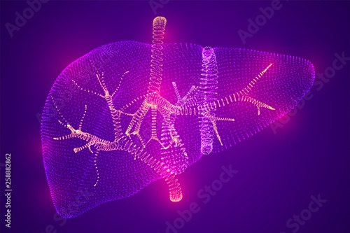 Vector abstract background of dots and glows. human liver.
