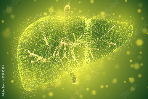 Vector abstract background of dots and glows. human liver.