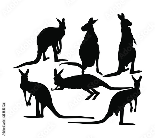 Kangaroo vector silhouette illustration isolated on white background. Australian animal portrait. Tourist symbol souvenir. Fauna best jumper. Zoo attraction. Kangaroo family crew.