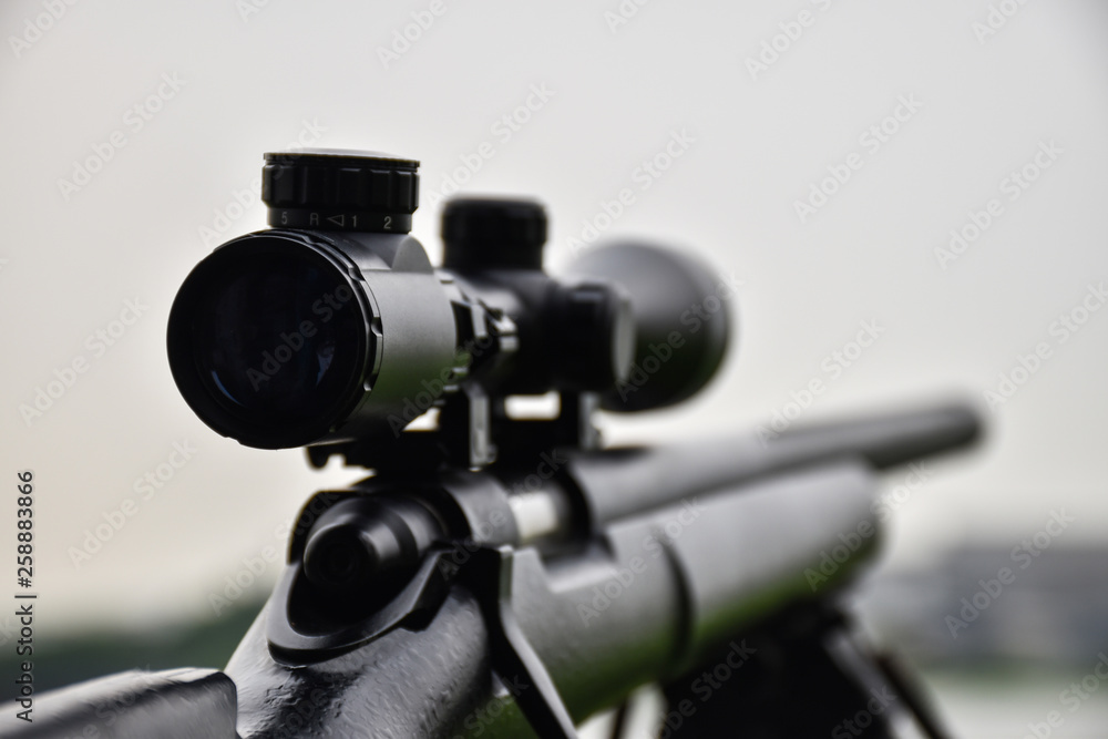 Rifle with a scope and bipod with first person shooter(FPS) view  - obrazy, fototapety, plakaty 