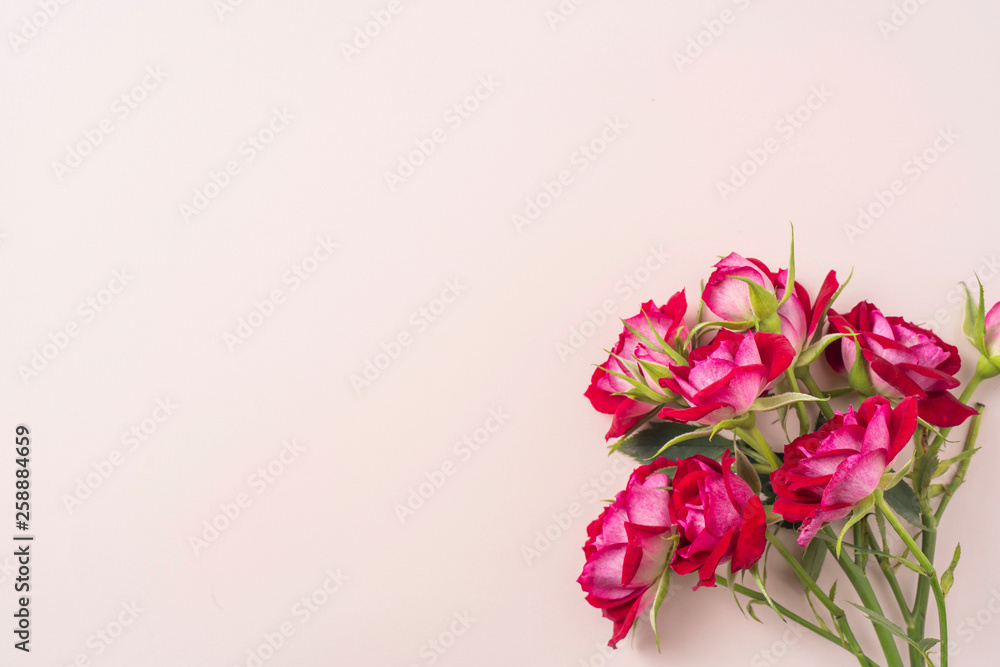 Fototapeta premium top view of red rose for mother & valentine day