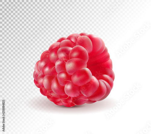 Ripe raspberries isolated on transparent background. Quality realistic vector. 3d illustraton