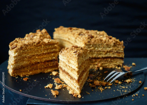 THE MOST AMAZING RUSSIAN HONEY CAKE
