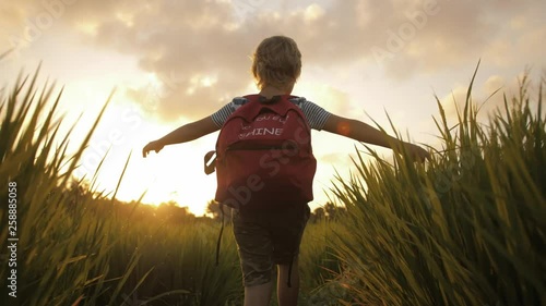 Child in green grass of rice field on way home from school. Enjoying countryside walk in summer holidays. Imagination, inspiration, hope concept. Mood of fresh air, life and nature in happy childhood