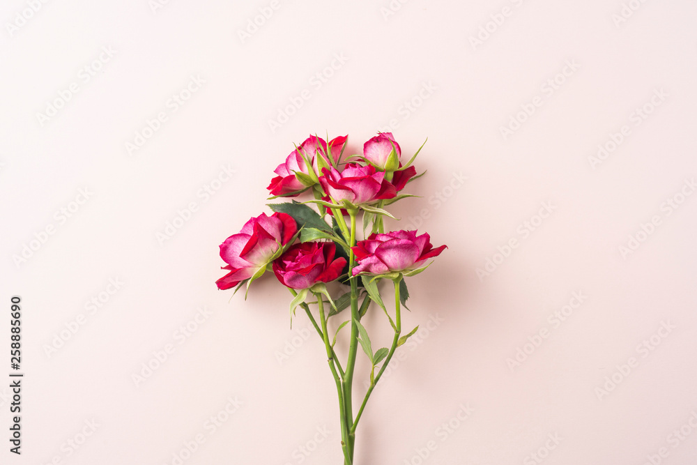 Fototapeta premium top view of red rose for mother & valentine day