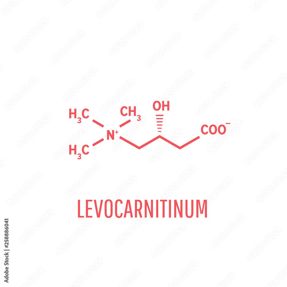 Levocarnitine biological molecule. Acetylcarnitine biological molecule Levocarnitine biological molecule. Acetylcarnitine biological molecule