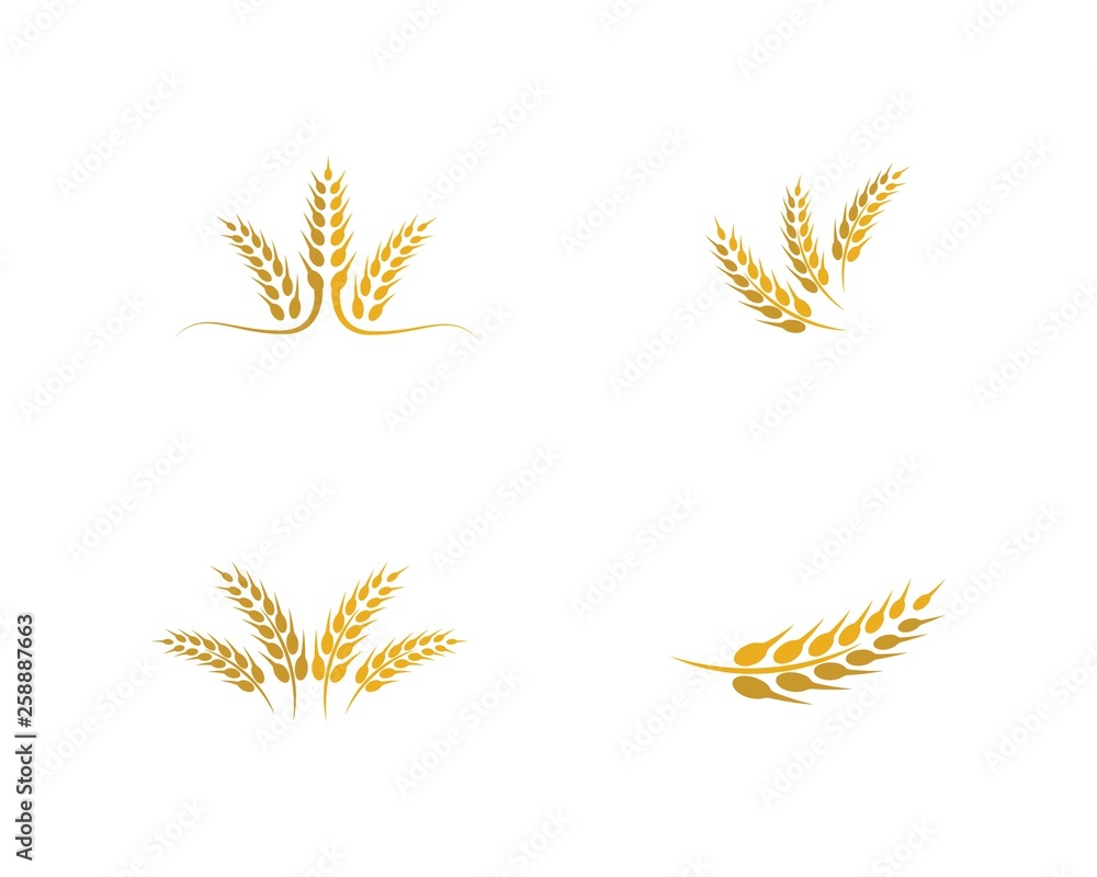 Wheat vector icon illustration