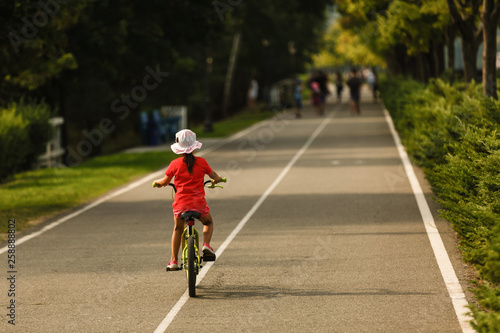 Children learning to drive a bicycle on a driveway outside. Little girls riding bikes on asphalt road in the city