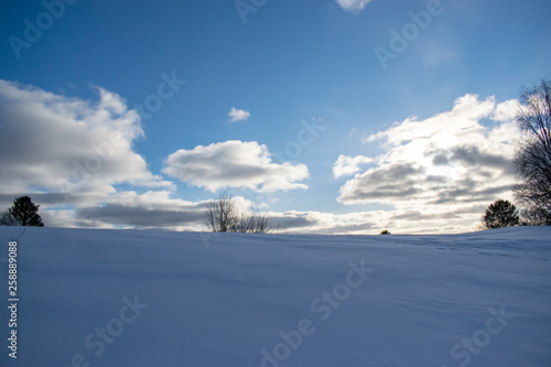 field in winter Sunny day © Vasiliy Shcherbatykh