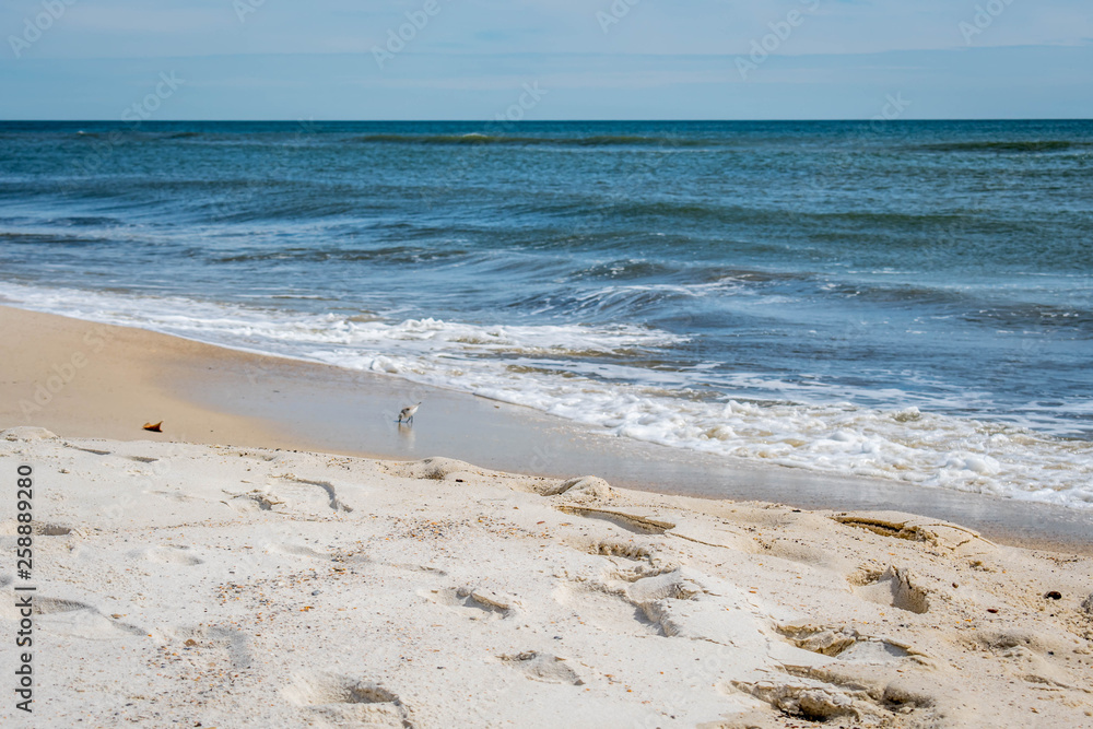 The overlooking view of the shore in Perdido Key State Park, Florida The overlooking view of the shore in Perdido Key State Park, Florida