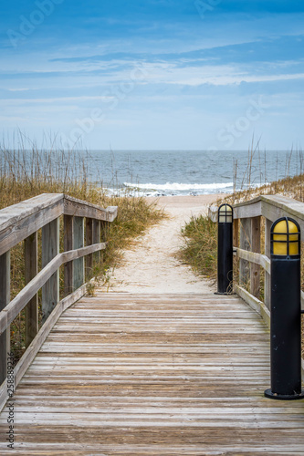 Obraz na plátně A very long boardwalk surrounded by shrubs in Amelia Island, Florida