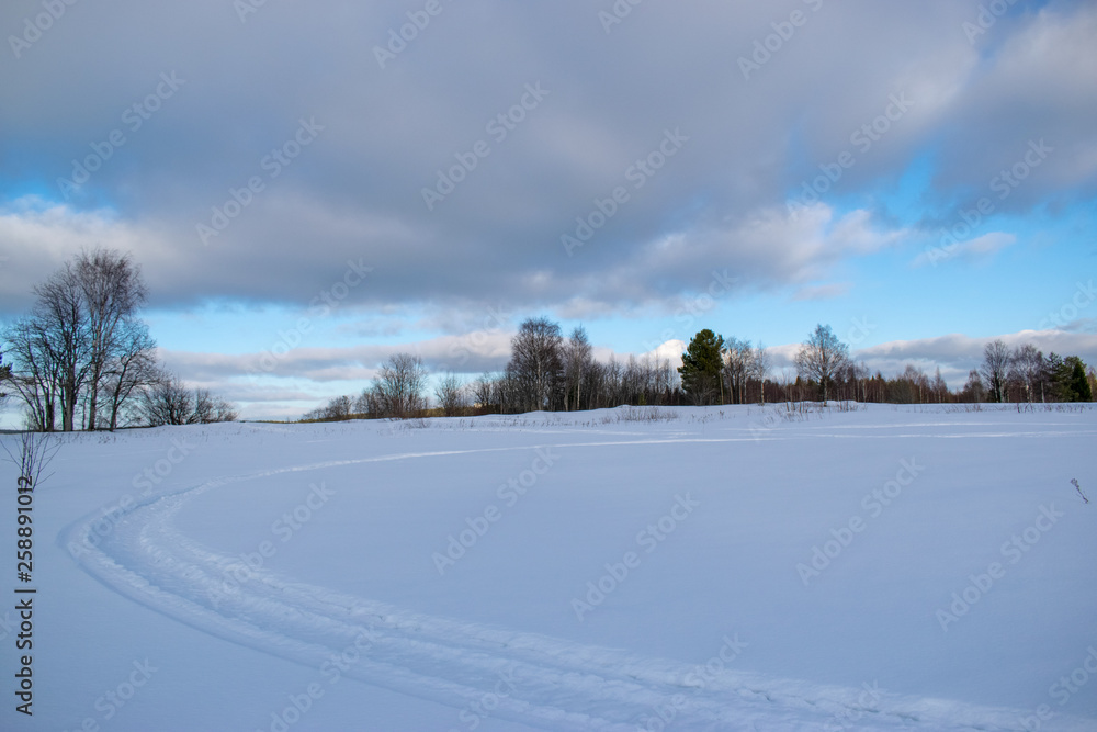 Obraz premium winter forest on a Sunny day