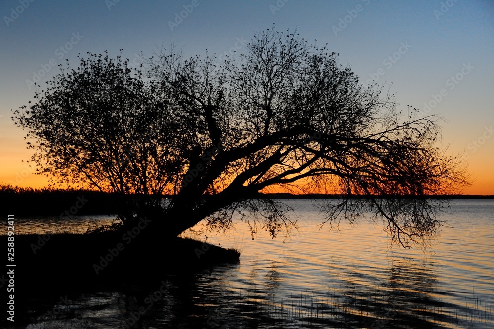 Coucher de soleil, lac de Sanguinet