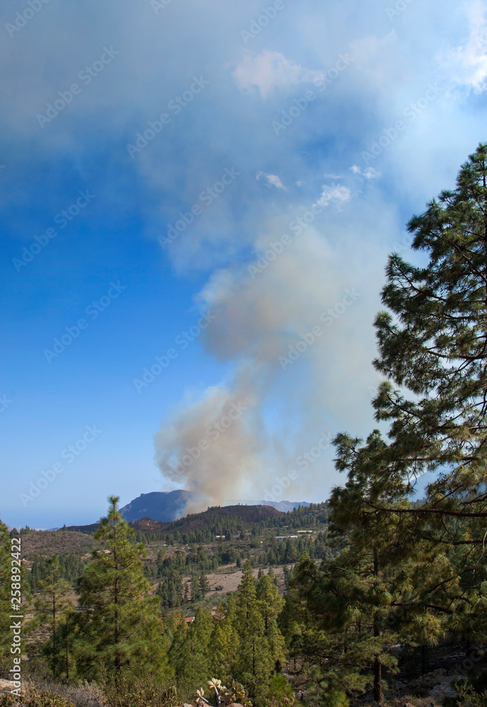 Fototapeta premium Gran Canaria, fire
