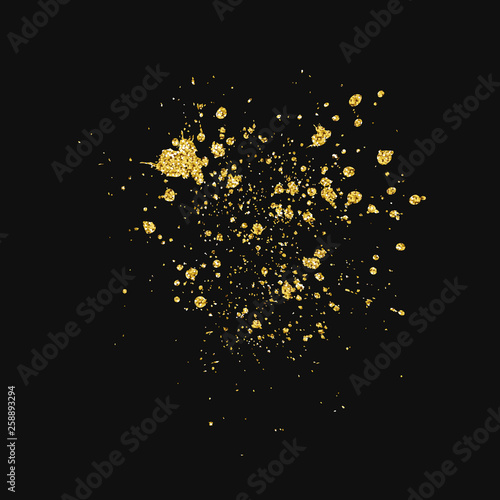 Glitter splash isolated on black backround. Vector.