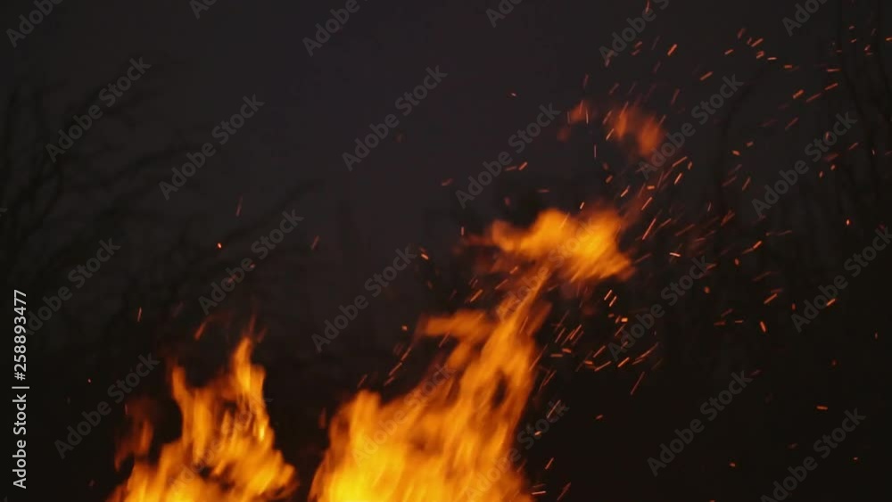 burning fire on a dark background burning fire on a dark background