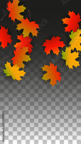 September Vector Background with Golden Falling Leaves. Autumn Illustration with Maple Red, Orange, Yellow Foliage. Isolated Leaf on Transparent Background. Bright Swirl. Suitable for Posters.