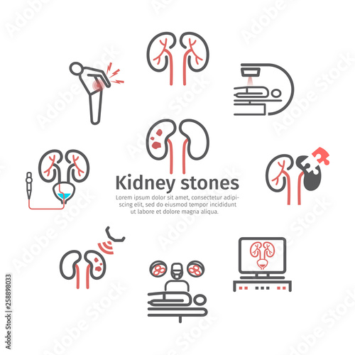 Kidney stones banner. Symptoms, Treatment. Line icons set. Vector signs for web graphics.