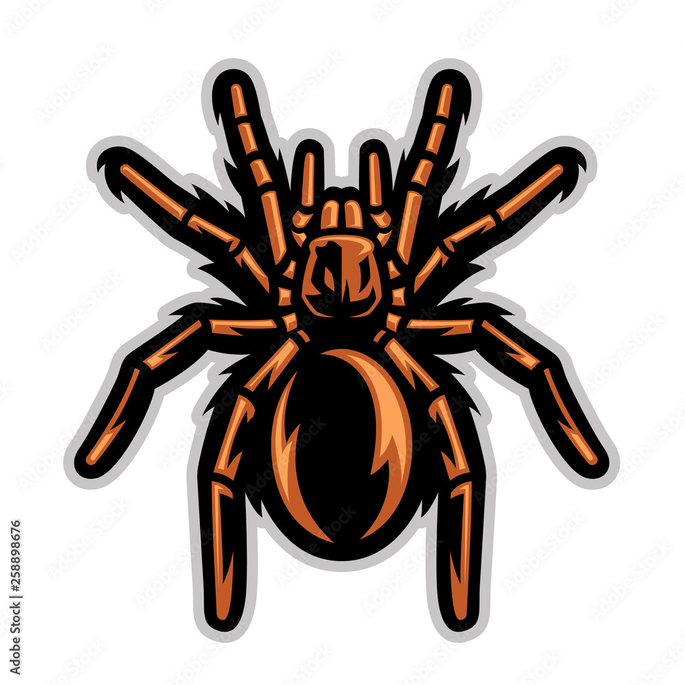 Obraz premium tarantula spider mascot