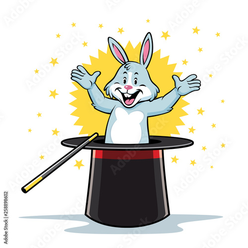 rabbit in the magic hat