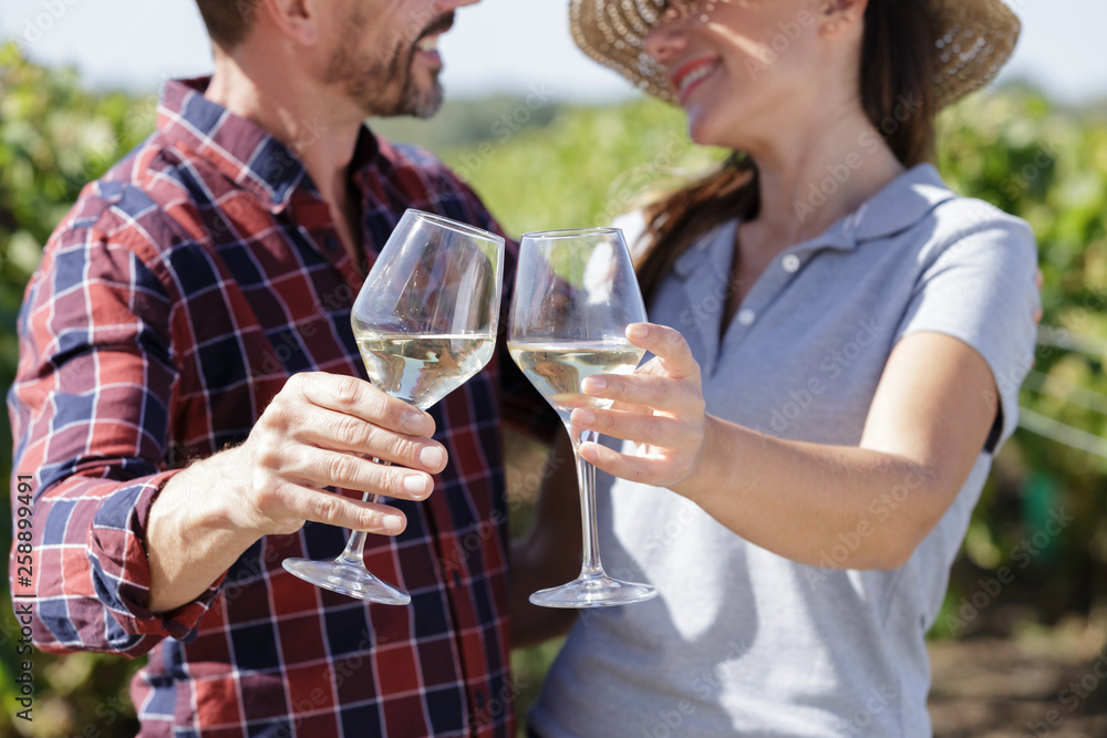 wine growers toasting with white wine in vineyard wine growers toasting with white wine in vineyard